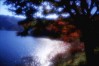 pic042s