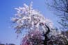 pic054s
