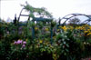 pic077s