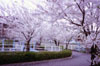 pic090s