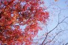 pic102s