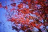 pic104s